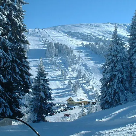 Koralpe Alpenrose