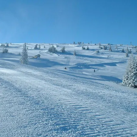 Koralpe Alpenrose