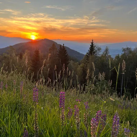 Koralpe Alpenrose Holiday home *