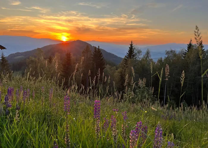 Koralpe Alpenrose Holiday home *